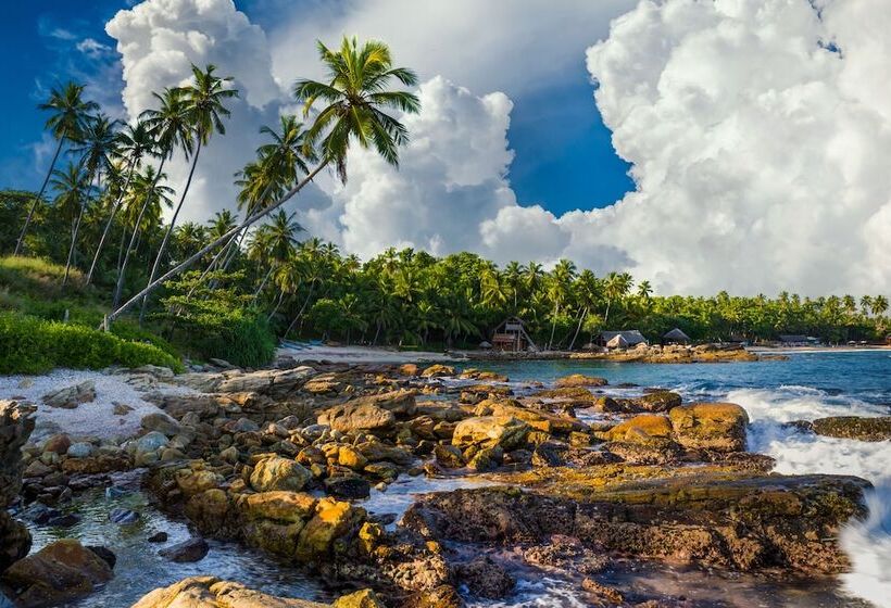 هتل Gigi Brown Beachfront Santa Teresa