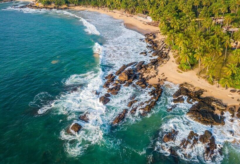 هتل Gigi Brown Beachfront Santa Teresa