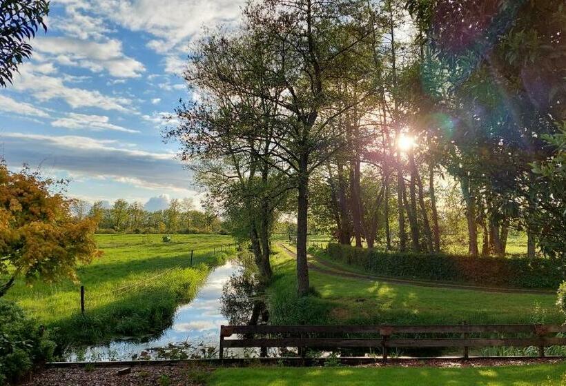 Nocleg ze śniadaniem Tusken Wad En Wâld