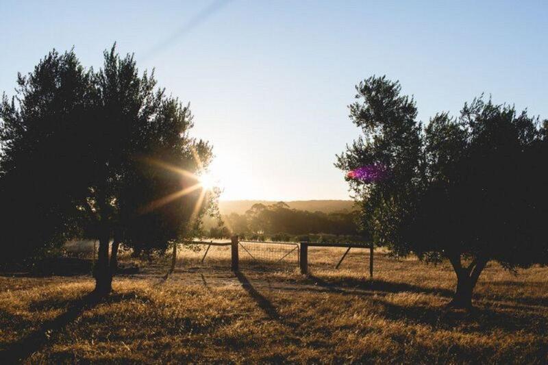 호텔 Empire Spa Retreat