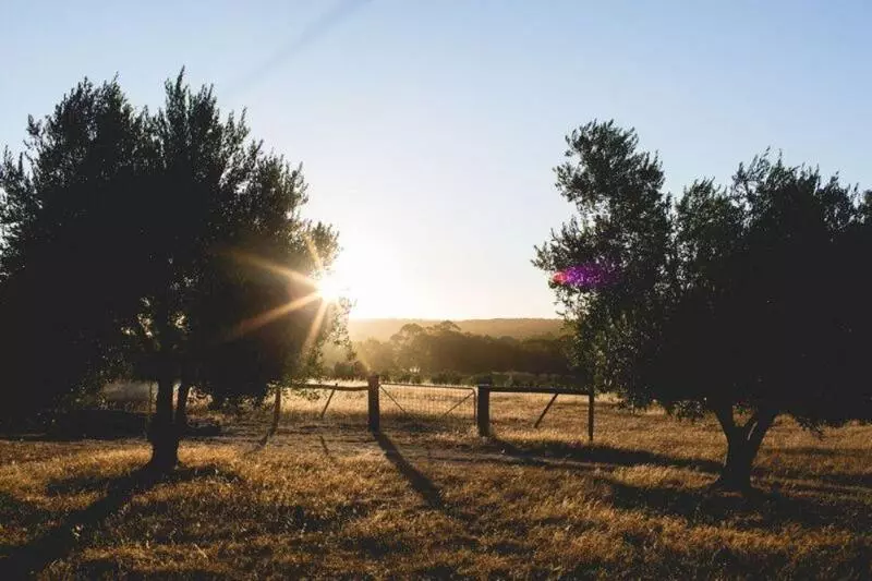 호텔 Empire Spa Retreat