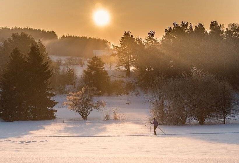 Отель Golfresort Haugschlag