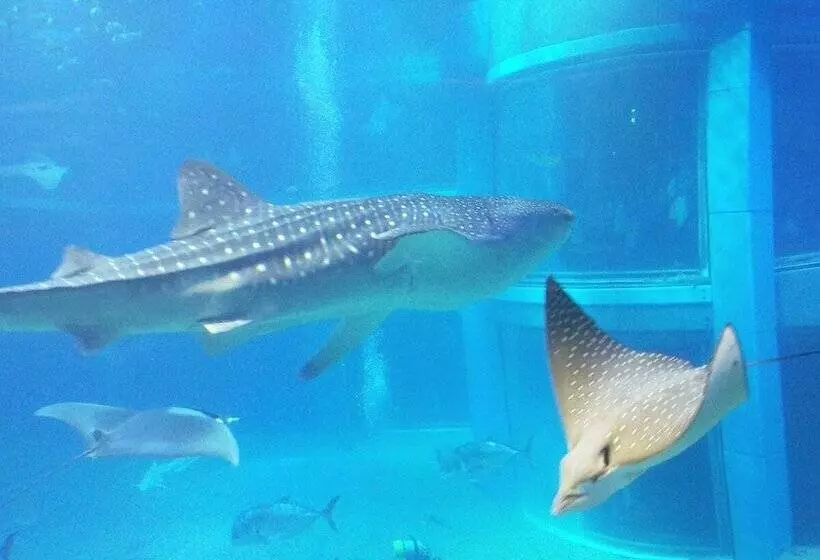 בית מלון כפרי Mikado