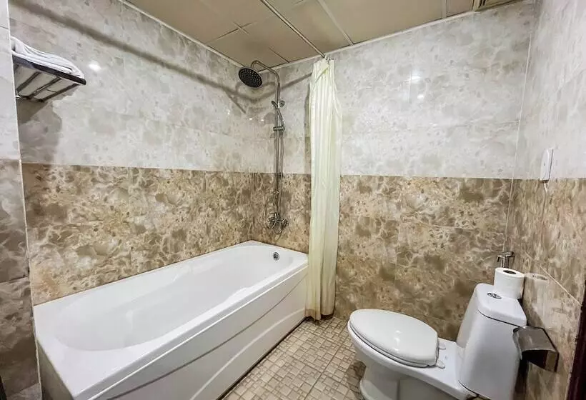 Quoc Cuong Center Da Nang Hotel By Haviland