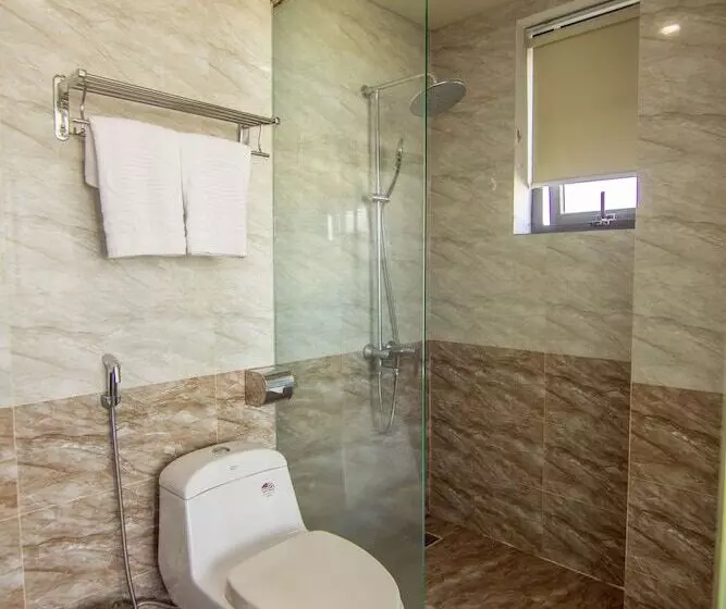 Quoc Cuong Center Da Nang Hotel By Haviland