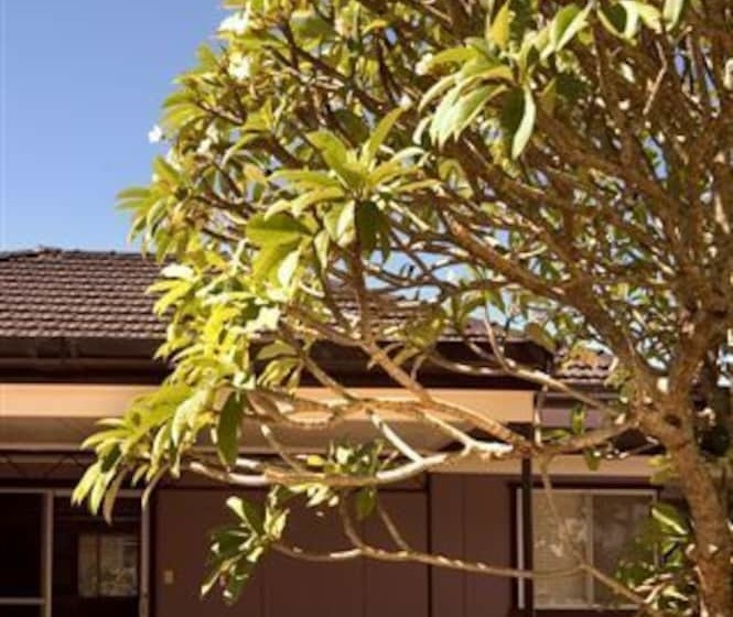 酒店 Shirley Beach Houses