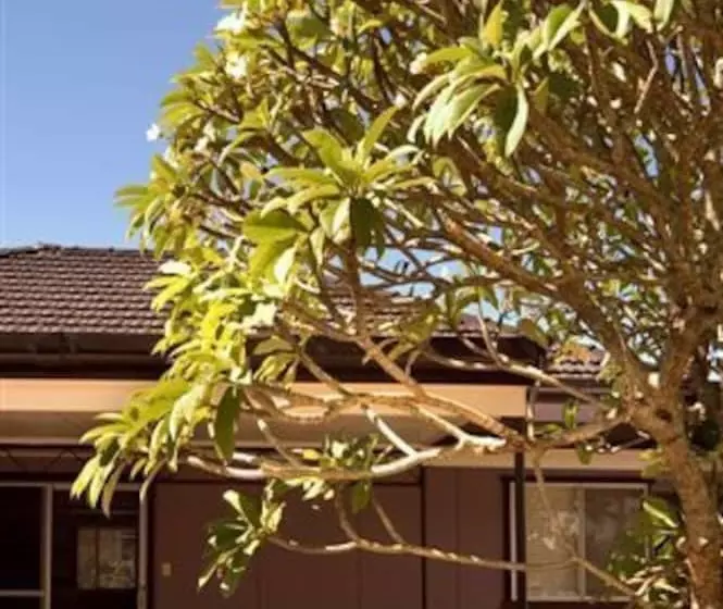 호텔 Shirley Beach Houses