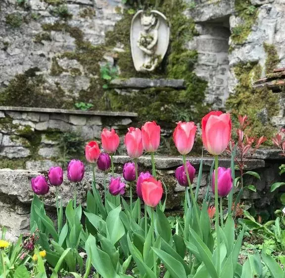 تختخواب و صبحانه Manoir Saint Pierre