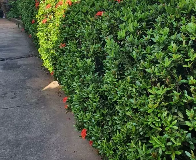 پانسیون Suíte 08   Aconchegante E Exclusiva