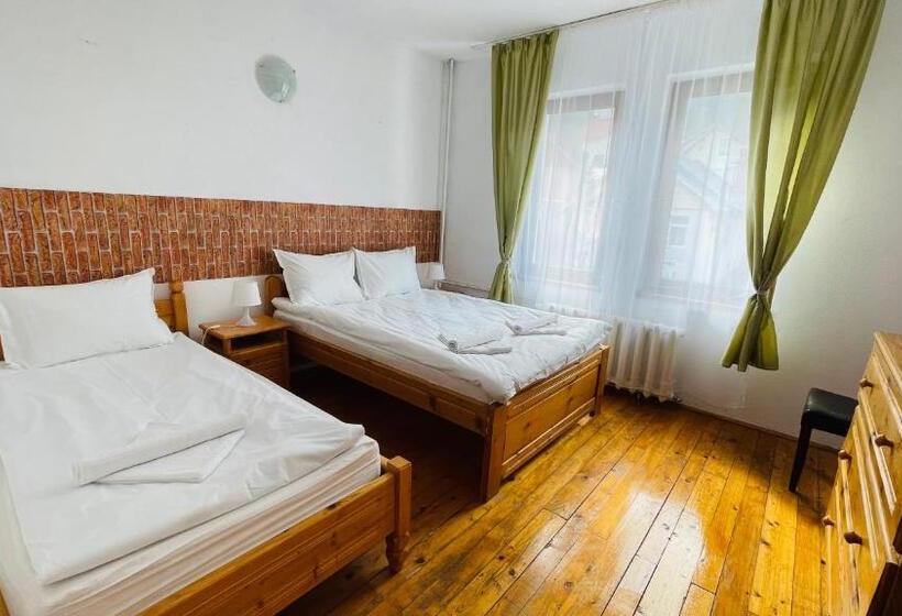 ペンション Vila Kira Buşteni