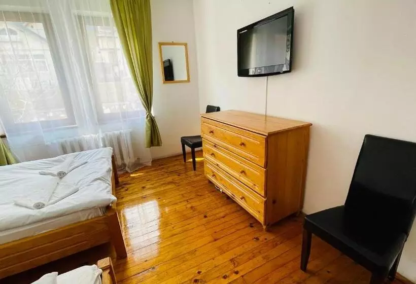 پانسیون Vila Kira Buşteni