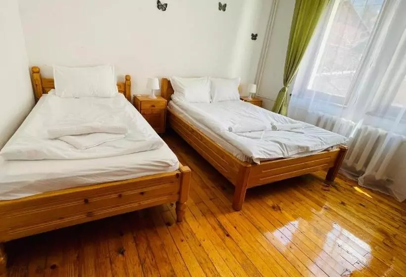 پانسیون Vila Kira Buşteni