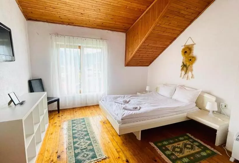 پانسیون Vila Kira Buşteni