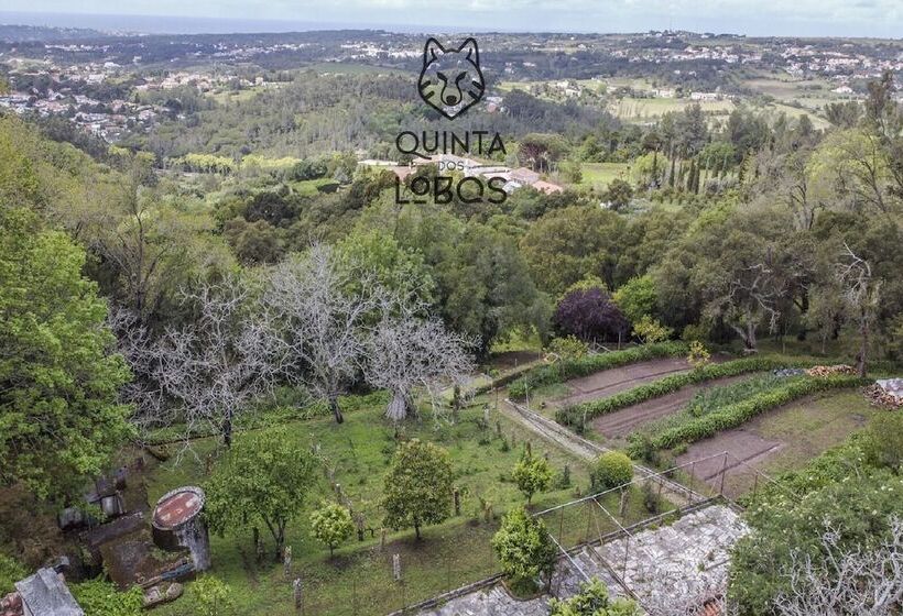 Quinta Dos Lobos Boutique Hotel   Nature Experience