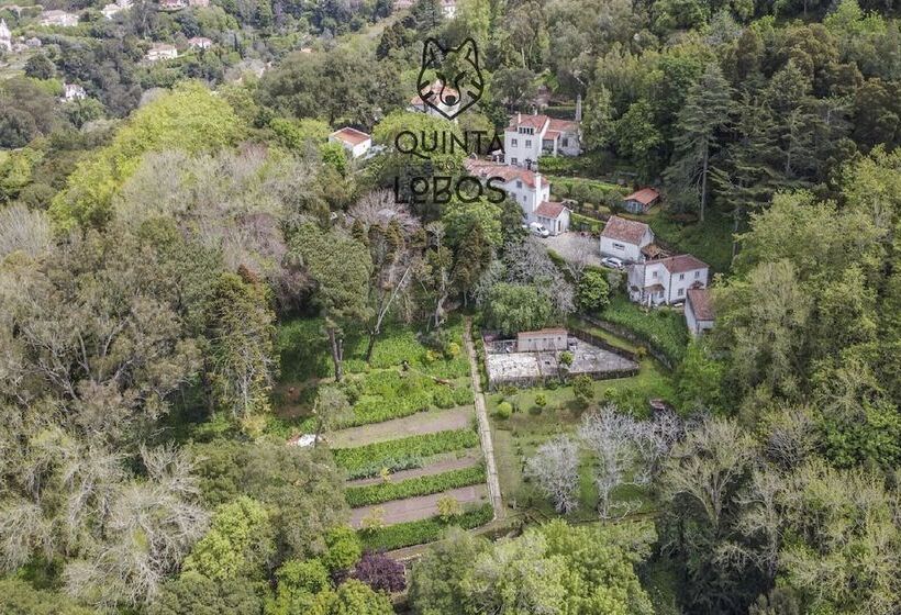 Quinta Dos Lobos Boutique Hotel   Nature Experience