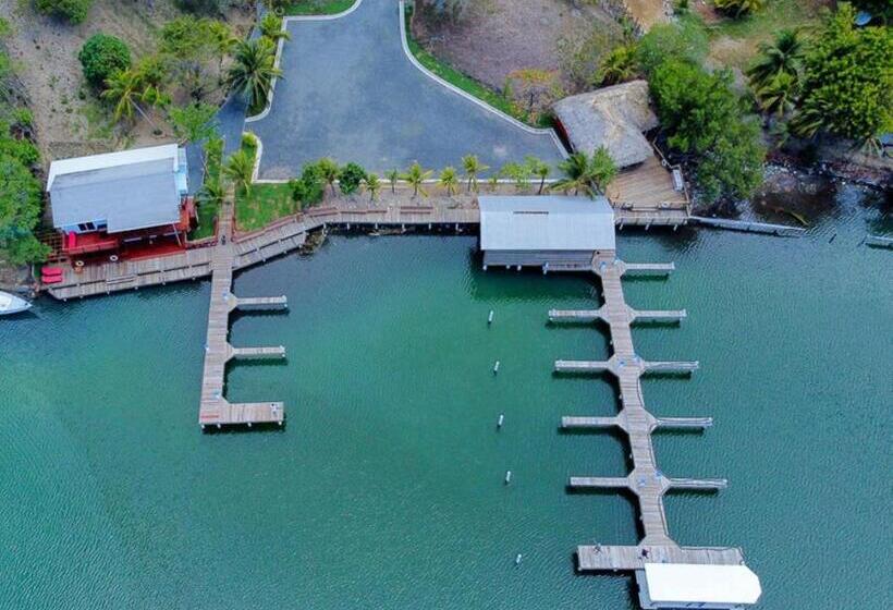 هتل And Dive Center Roatan Yacht Club