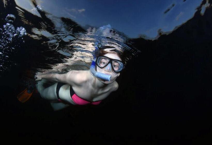 هتل And Dive Center Roatan Yacht Club