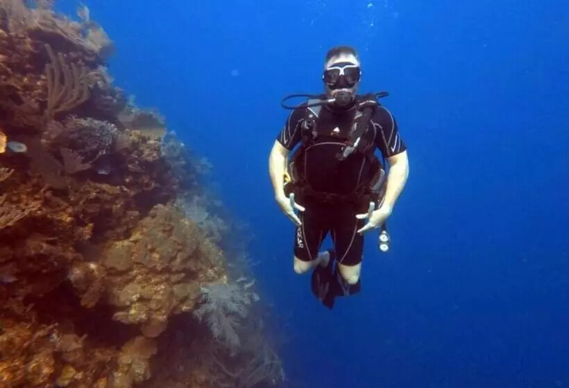 هتل And Dive Center Roatan Yacht Club