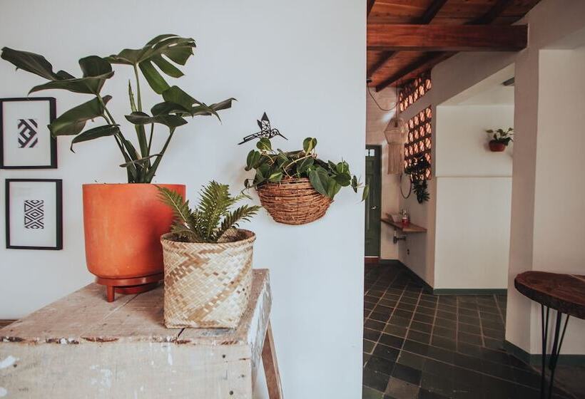 פנסיון Centro Hostel Medellin