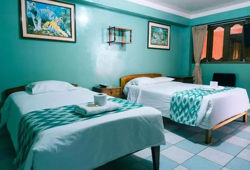 ペンション Alpa Kasa Chachapoyas