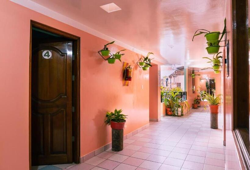 پانسیون Alpa Kasa Chachapoyas