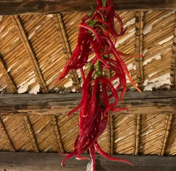 Aamiaismajoitus (B&B) Casa Filù