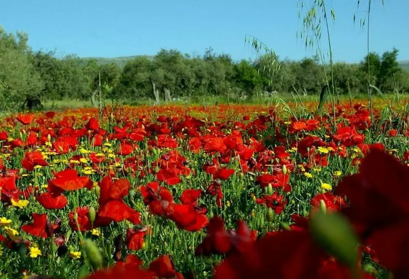 Aamiaismajoitus (B&B) Casa Filù