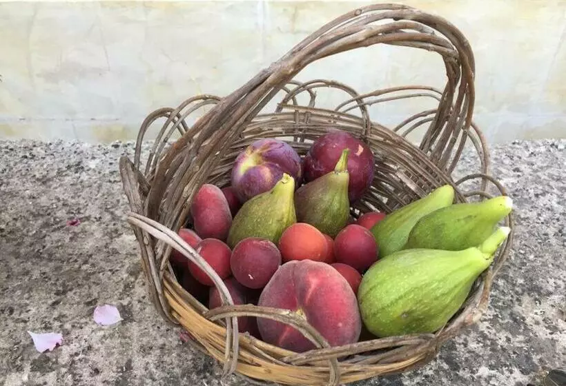 Aamiaismajoitus (B&B) Casa Filù