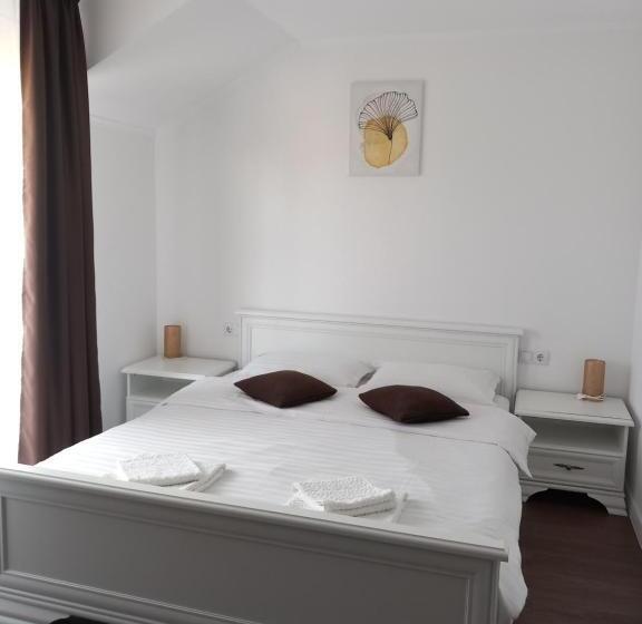 Pensjonat Casa Ambientt