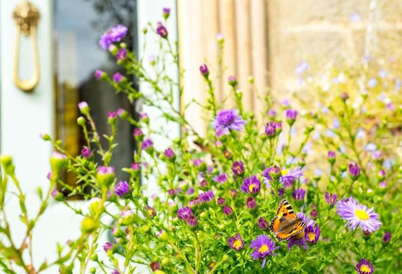 Sunnyside Bed And Breakfast