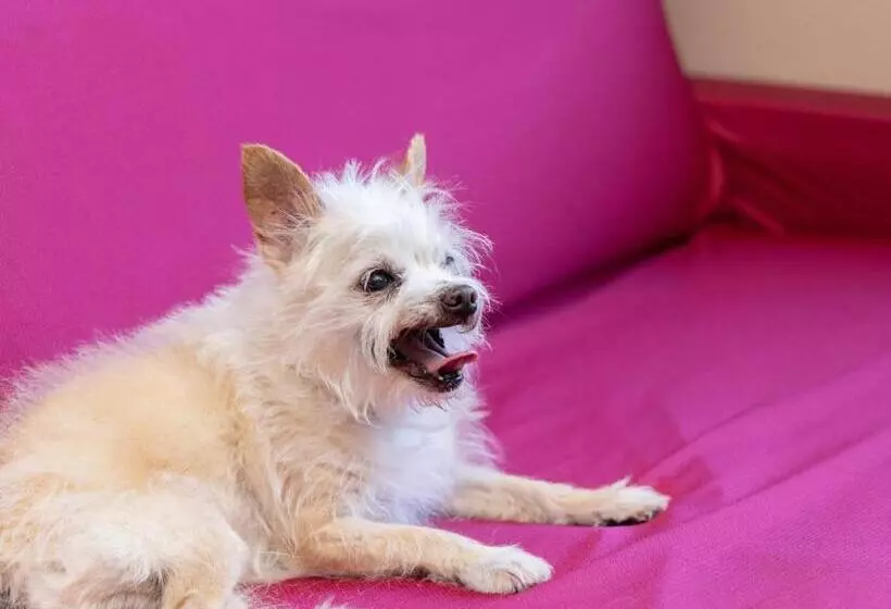 Apa Hotel & Resort Joetsu Myoko