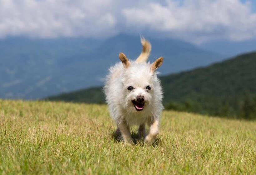 Apa Hotel & Resort Joetsu Myoko