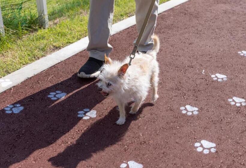 Apa Hotel & Resort Joetsu Myoko