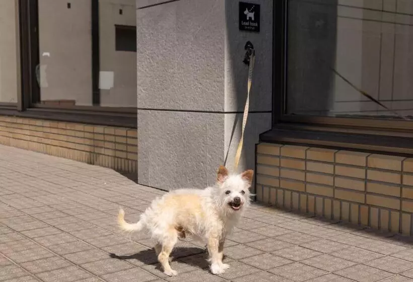 Apa Hotel & Resort Joetsu Myoko