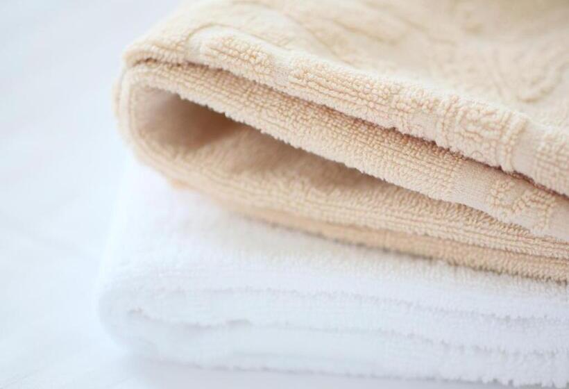 Apa Hotel <sapporo Odoriekimaenishi>