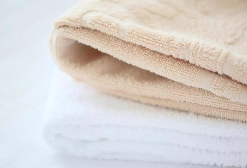 Apa Hotel <sapporo Odoriekimaenishi>