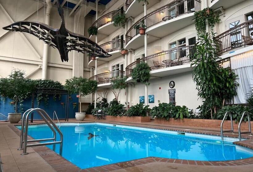 酒店 L Oie Des Neiges