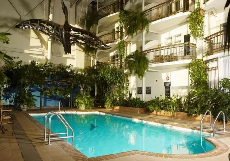 酒店 L Oie Des Neiges