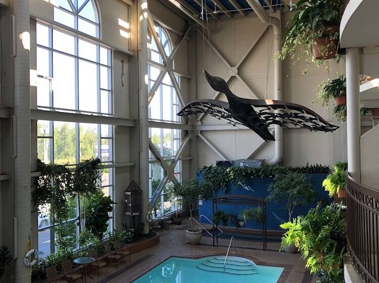 酒店 L Oie Des Neiges