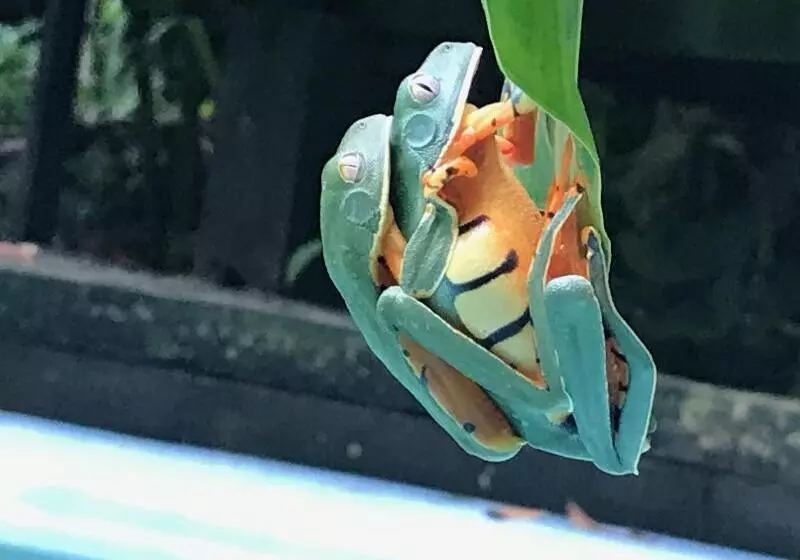 ホテル La Kukula Lodge