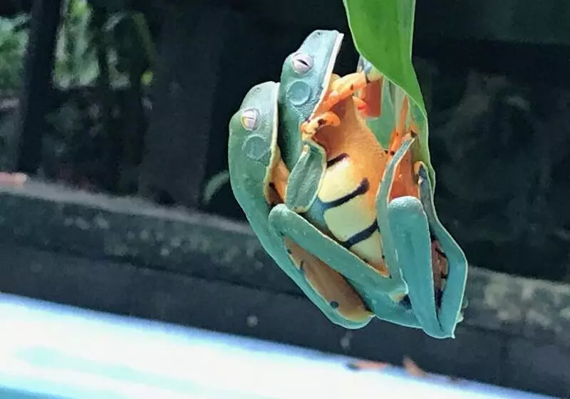 ホテル La Kukula Lodge