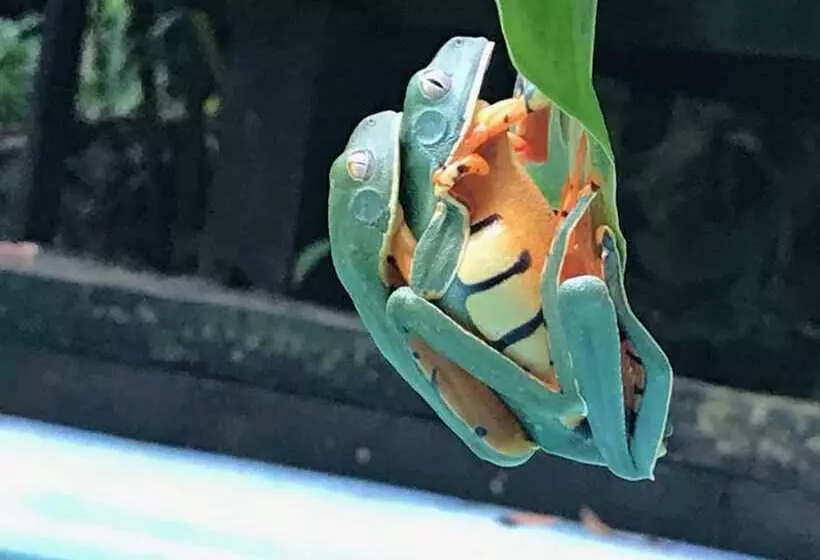 ホテル La Kukula Lodge