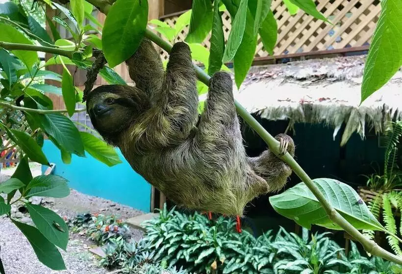 ホテル La Kukula Lodge