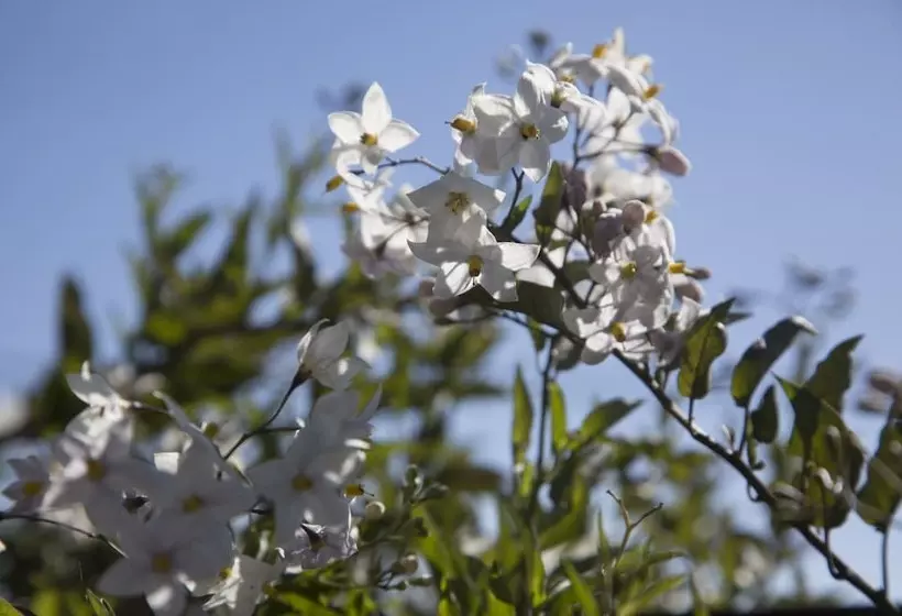 Отель Renest Dunsvirk Court Mussoorie