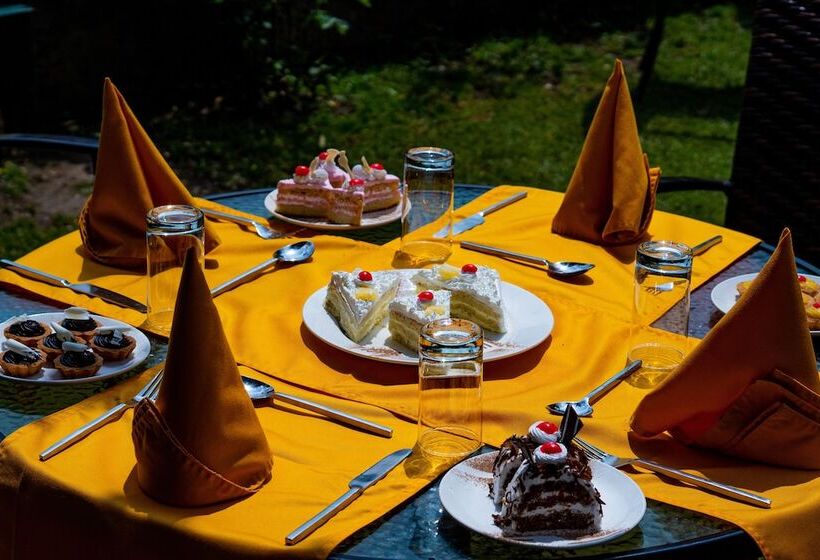 هتل Shervani Hilltop Nainital