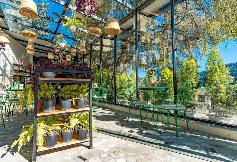 ホテル Shervani Hilltop Nainital