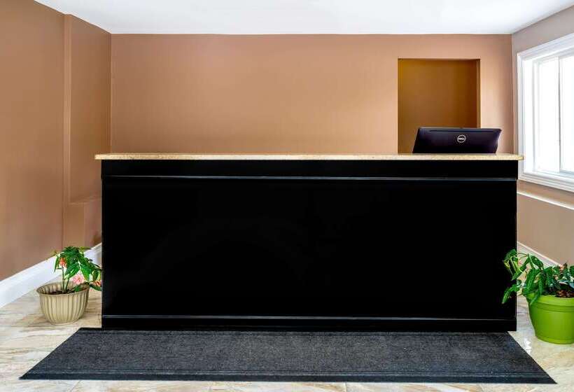 فندق على الطريق Super 8 By Wyndham Kingston