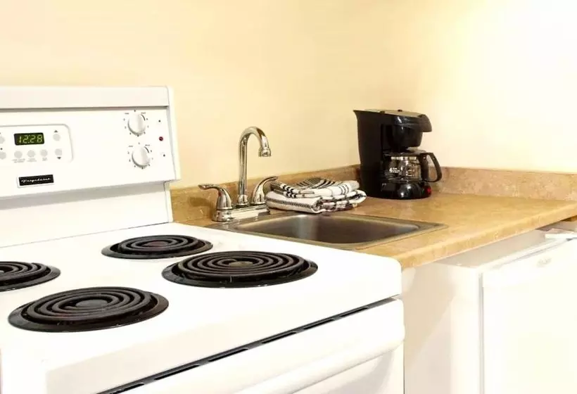 فندق على الطريق Super 8 By Wyndham Kingston