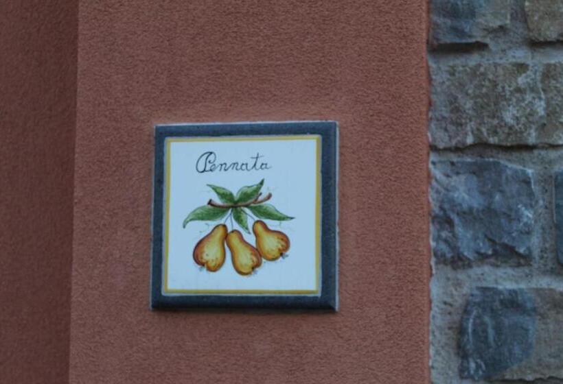 Panzió The Chalet, Guest House