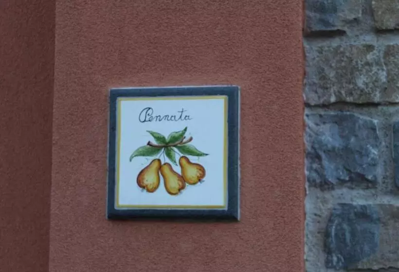 ペンション The Chalet, Guest House